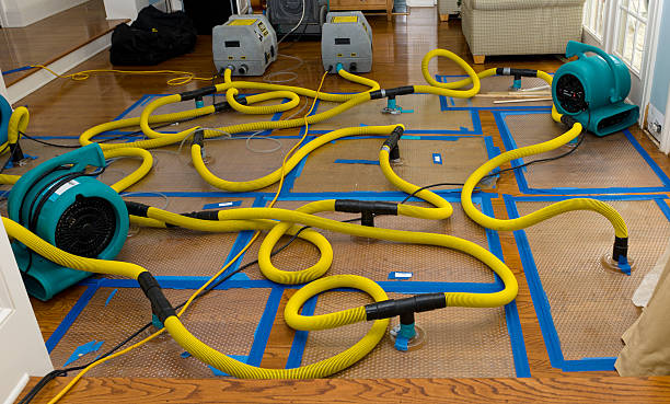Professional Storm Water Damage Restoration technician working in Mount Hope, AL